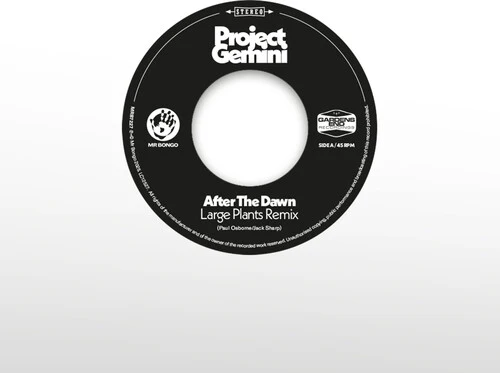Project Gemini and The Space Donkeys - After The Dawn - Large Plants Remix / Darkness Rising