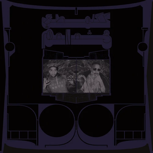 Shabazz Palaces - Exotic Birds of Prey