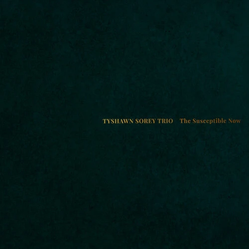 Tyshawn Sorey Trio - The Susceptible Now