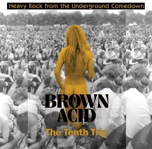 Various Artists - Brown Acid - The Tenth Trip (Various Artists)